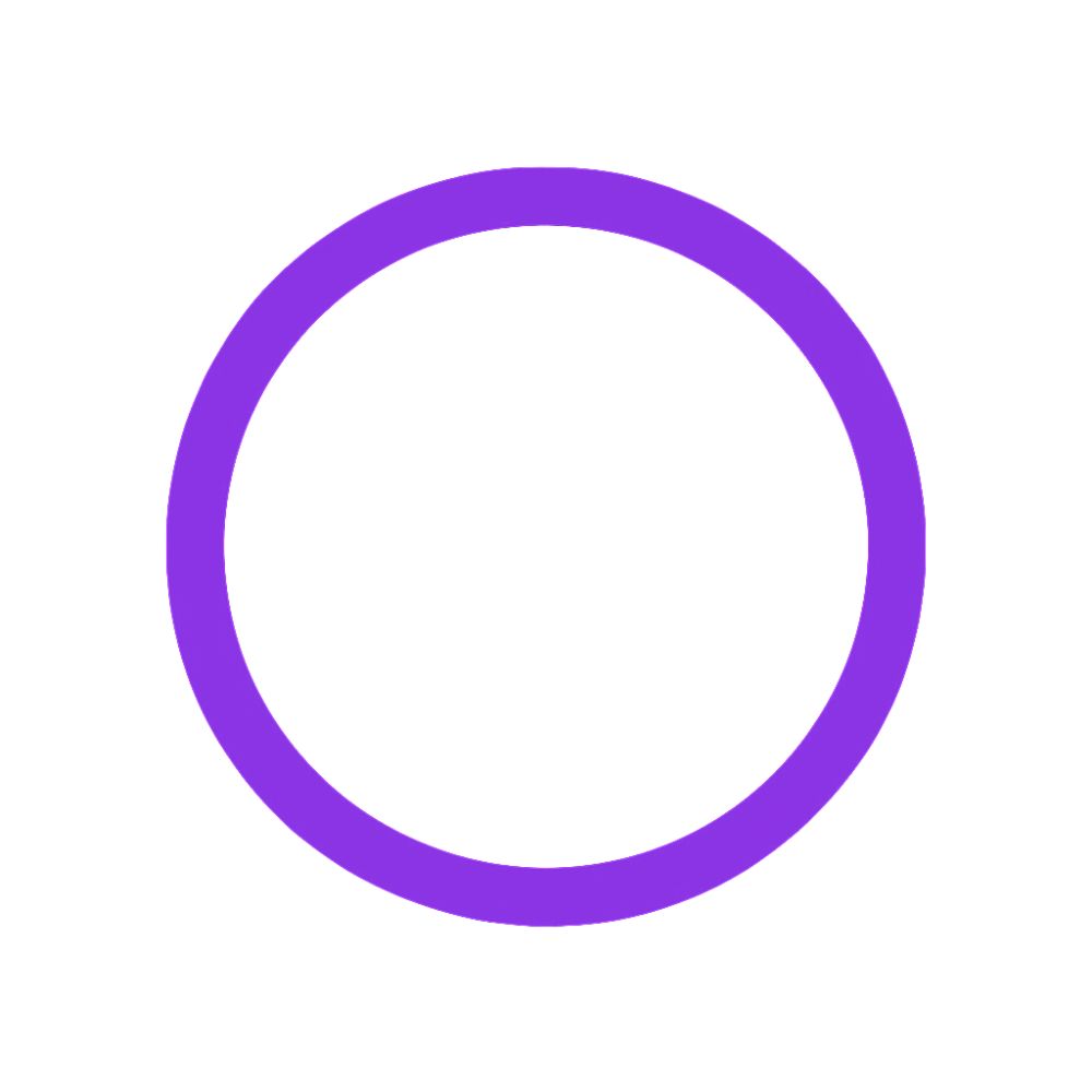Webservice Studios Logo